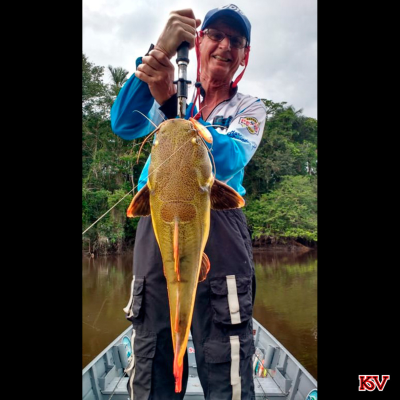 Dorival Venturini pegou uma Pirarara com a isca Sardstick.