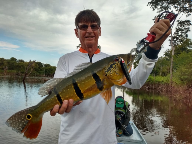 Dorival da KV fisgou esse Tucunaré Açú no rio Uatumã (Amazônia) com a isca João Pepino.