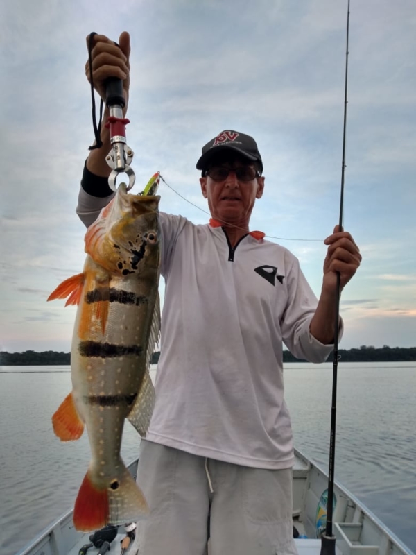 Dorival da KV fisgou esse Tucunaré Açú no rio Uatumã (Amazônia) com a isca João Pepino.